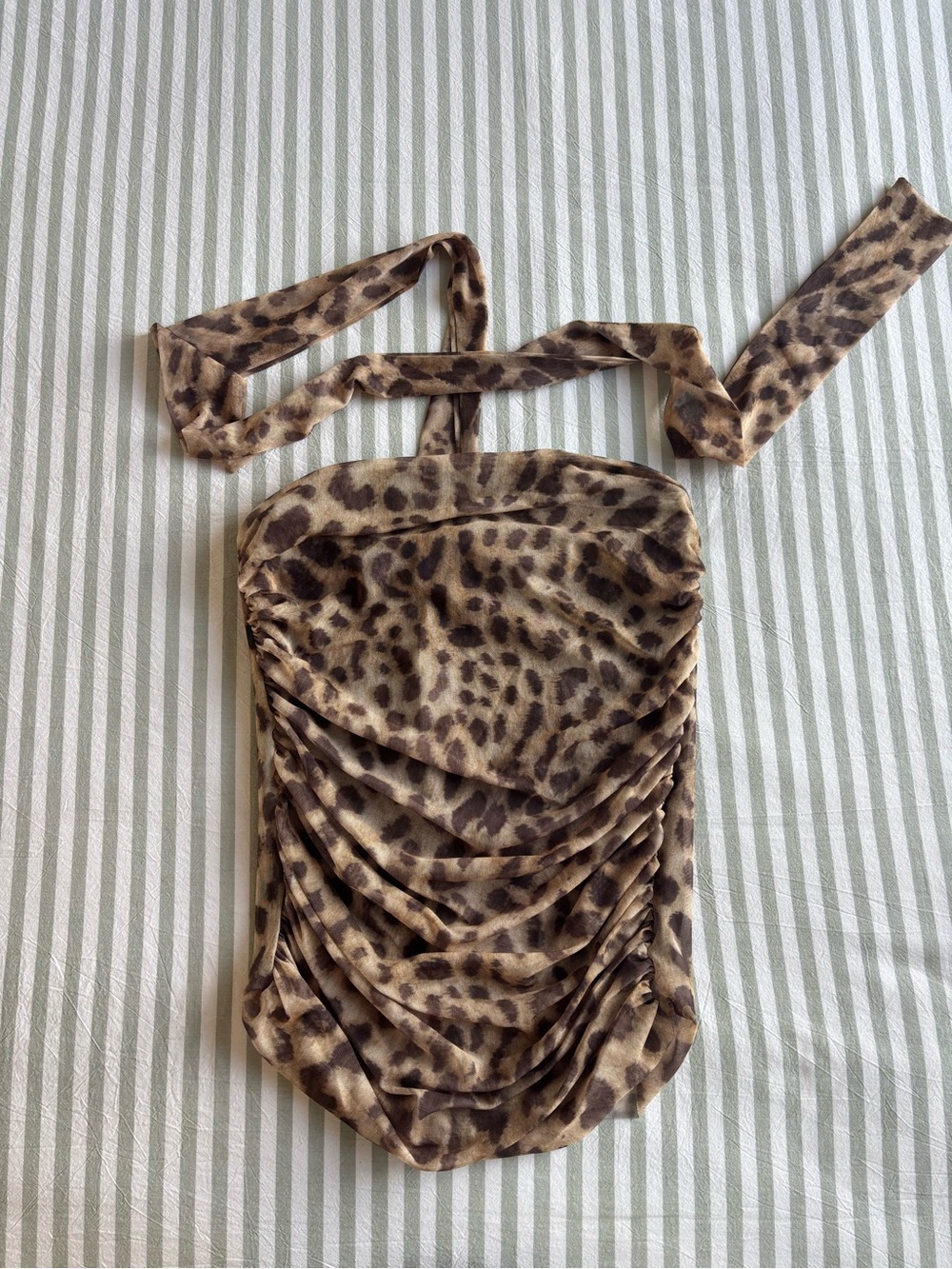 Zara Leopard Print Strapless Top